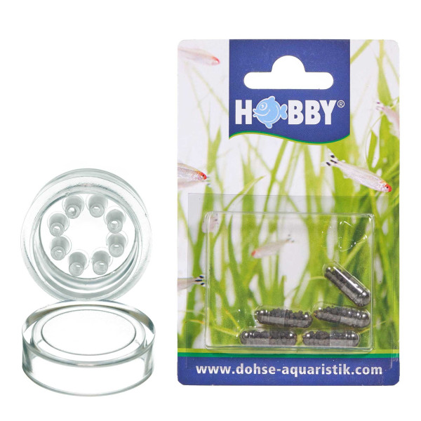 Anti-Planarien Set | Falle & Köder gegen Planarien im Aquarium