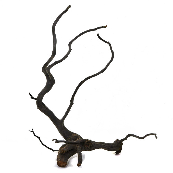 Black Wood Wurzel | Set L Einzelstück