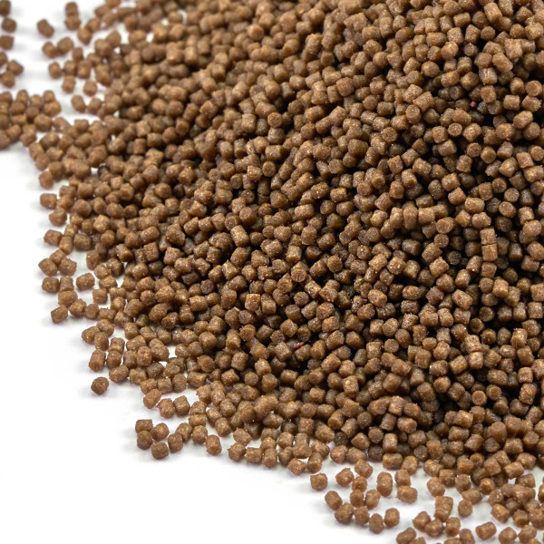 Aquarium Münster Dr. Bassleer BIOFISH FOOD Acai L