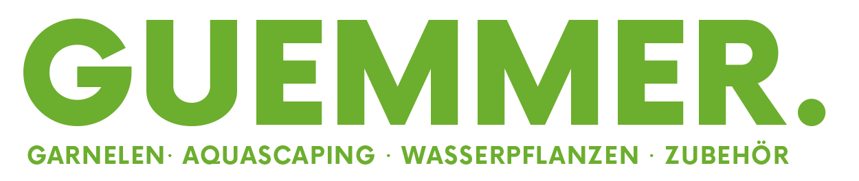 Garnelen-Guemmer - zur Startseite wechseln Garnelen-Guemmer - zur Startseite wechseln