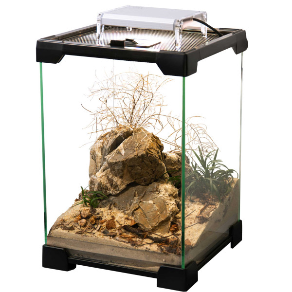 Skylight TINY 2 | Terrarium LED WRGB