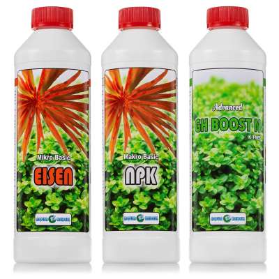 aloe pflanzen kaufen Aloe vera – pravá aloe – 40–70 cm