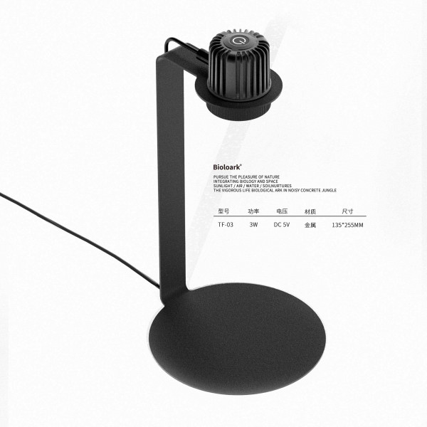Flaschengarten Wabi-Kusa Set | LED inkl. Glas