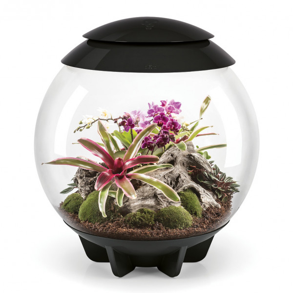 Oase biOrb AIR 60 | Automatisches Pflanzenterrarium