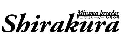 Shirakura