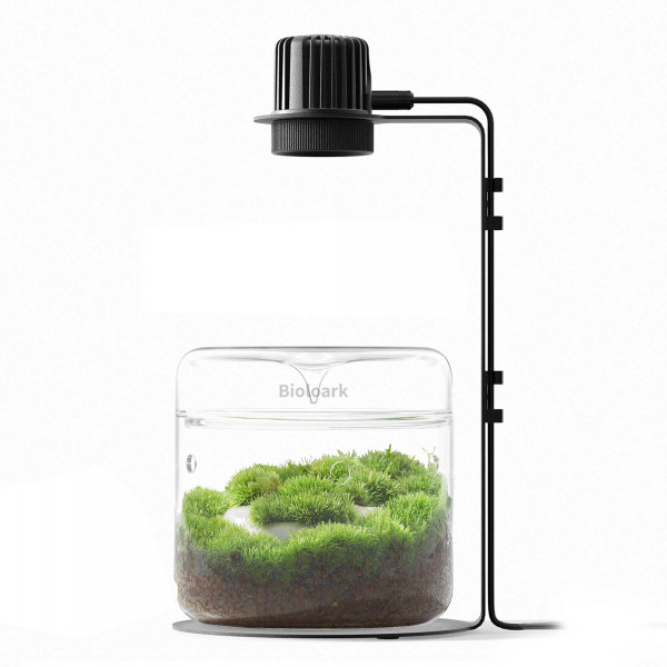 Bioloark Luji Glass Cup Set inkl. LED