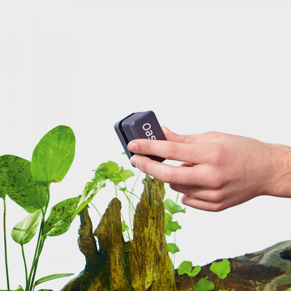 Oase Magnet-Scheibenreiniger