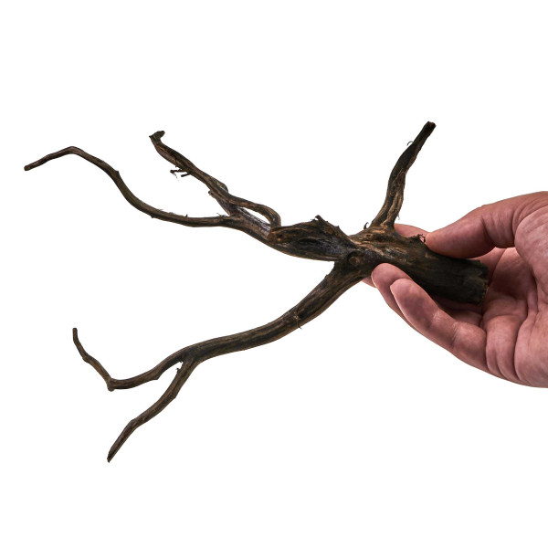 Black Wood Wurzel | Set S Einzelstück größe