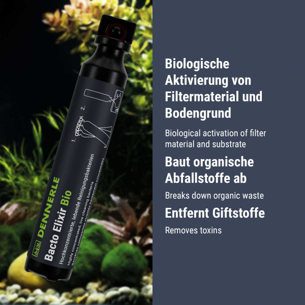 Dennerle Bacto Elixier Bio | Filterbakterien - 50 ml