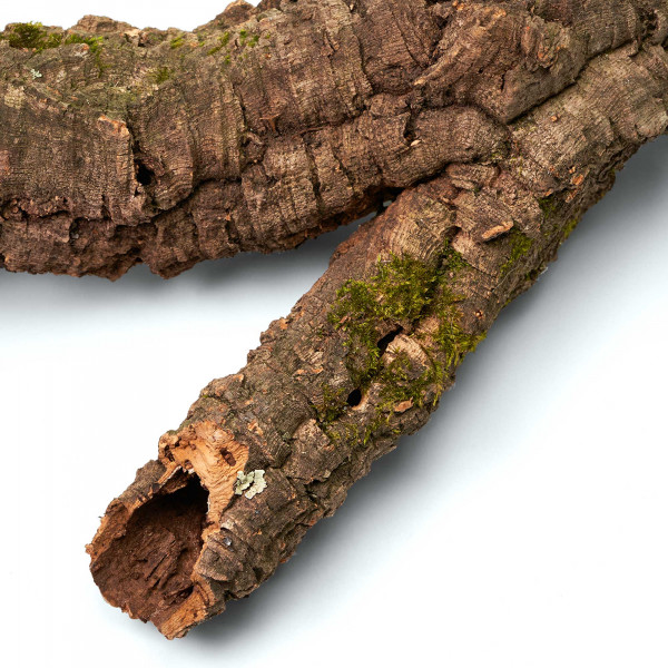 Korkröhren für Terrarium | Natürliche Verstecke und Klettermöglichkeiten Makro