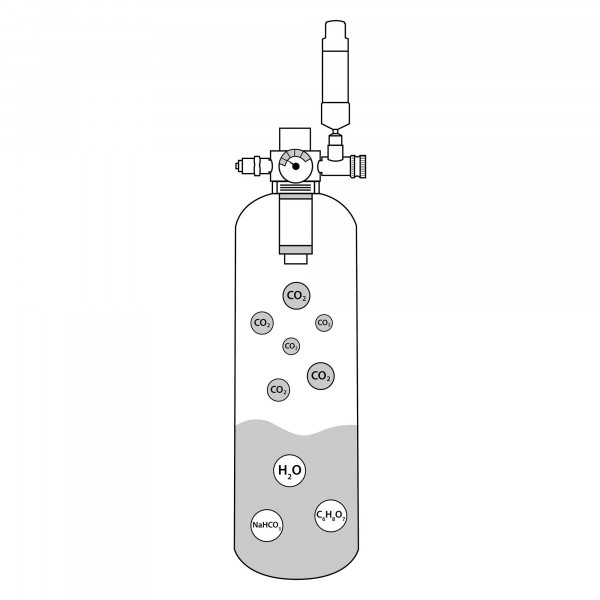 Arka MyScape Bio Co2 Starter-Set Medium 2,4 Liter reaktion