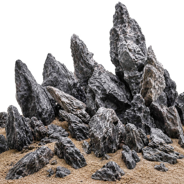 Schwarze Mini Landschaft im Aquarium Aquascaping