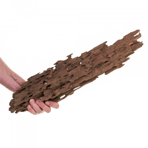 Dragonwood | Drachenholz | Ohkowood Set