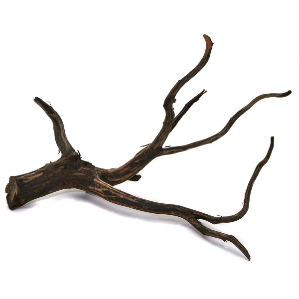Black Wood Wurzel | Set S Einzelstück