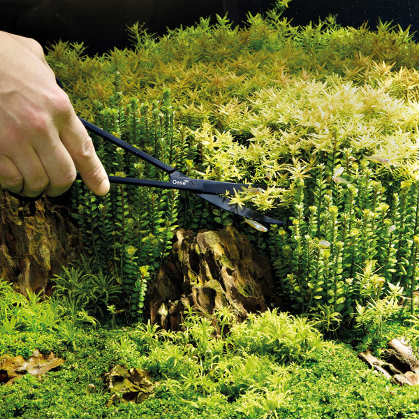 Oase Pflanzen-Schere