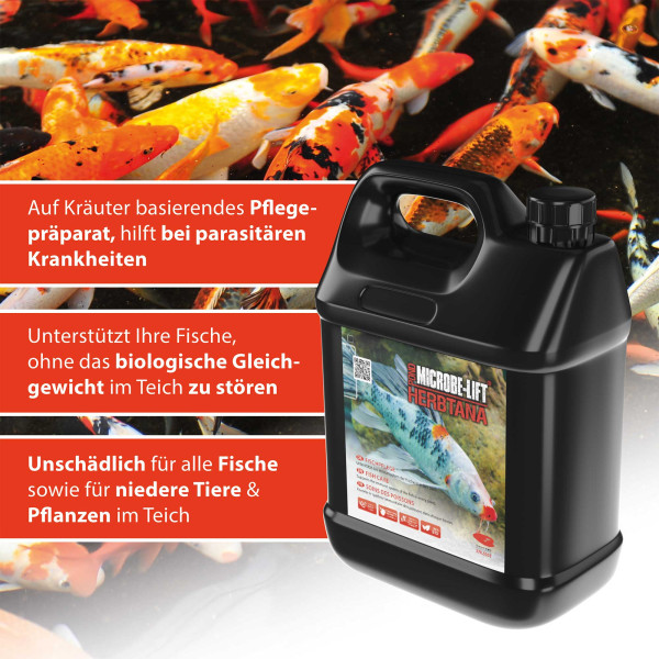 ARKA TEICH Herbtana | Fischpflege auf Kräuterbasis