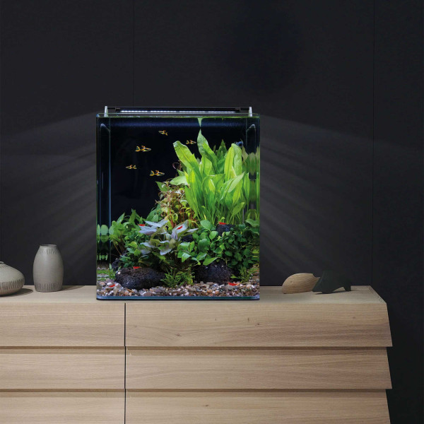 Dennerle | Nano Cube Basic