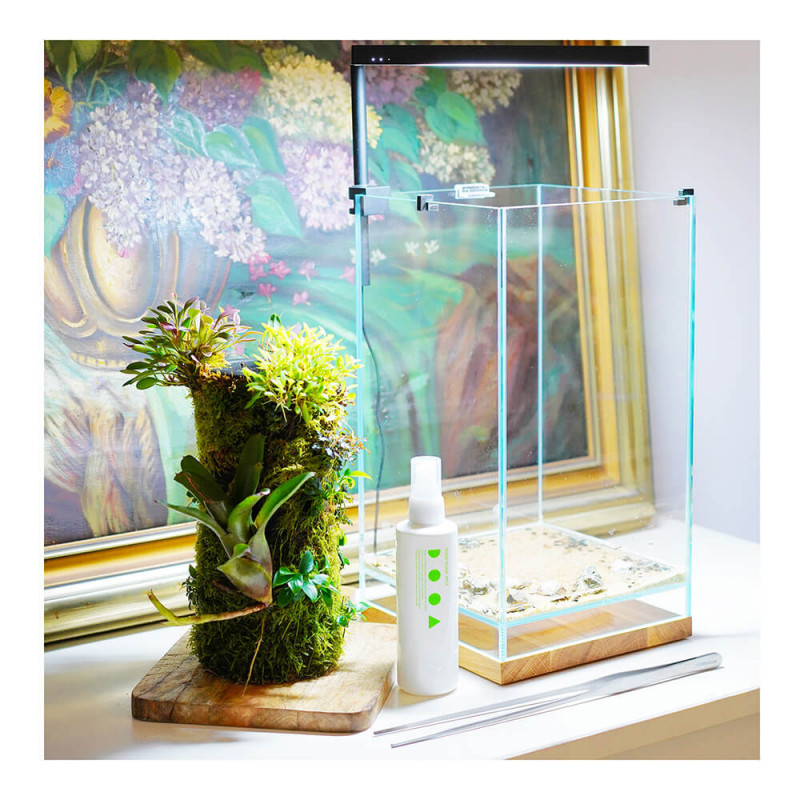 Dnger fr Wabi-Kusa und Terrarium  Pflege emerse Pflanzen