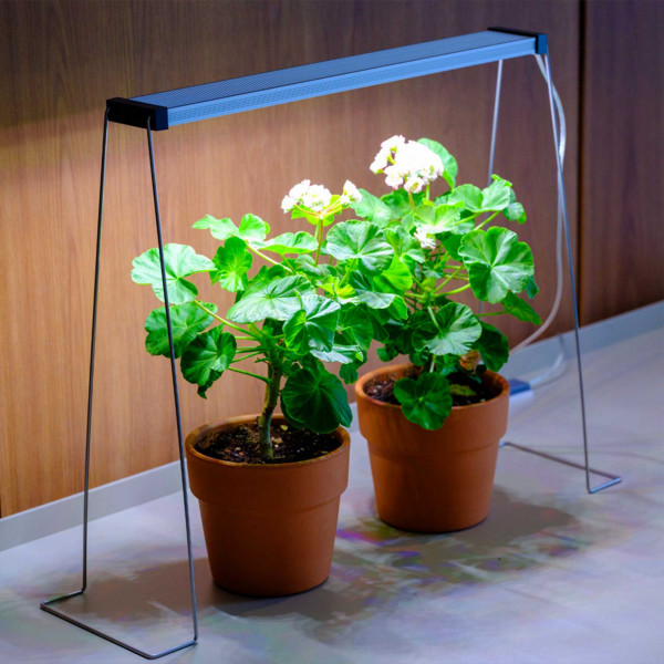 Twinstar Spring Wire 35cm Set | Lampenständer