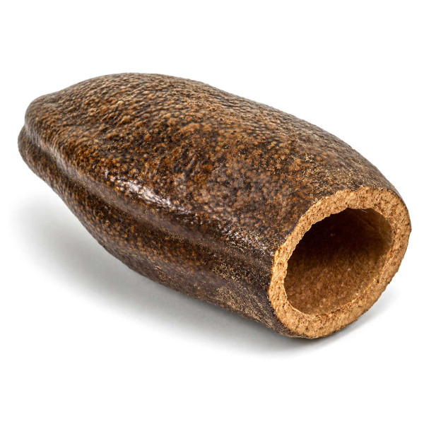 Courbarilschote Jatoba Schote natürlicher Laichplatz