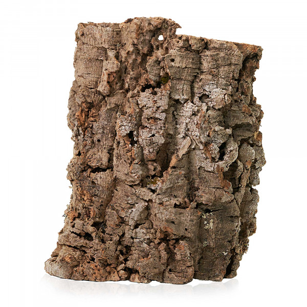 Korkplatten für Terrarium | 30-50cm