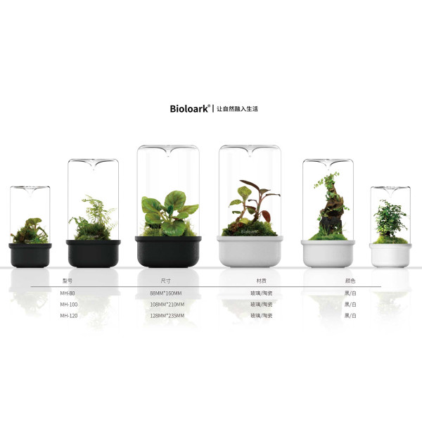 Bioloark Luji Cup MH | WabiKusa Glas