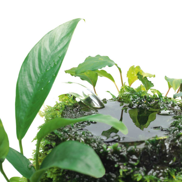 DOOA | Terra Base Flow Pipe