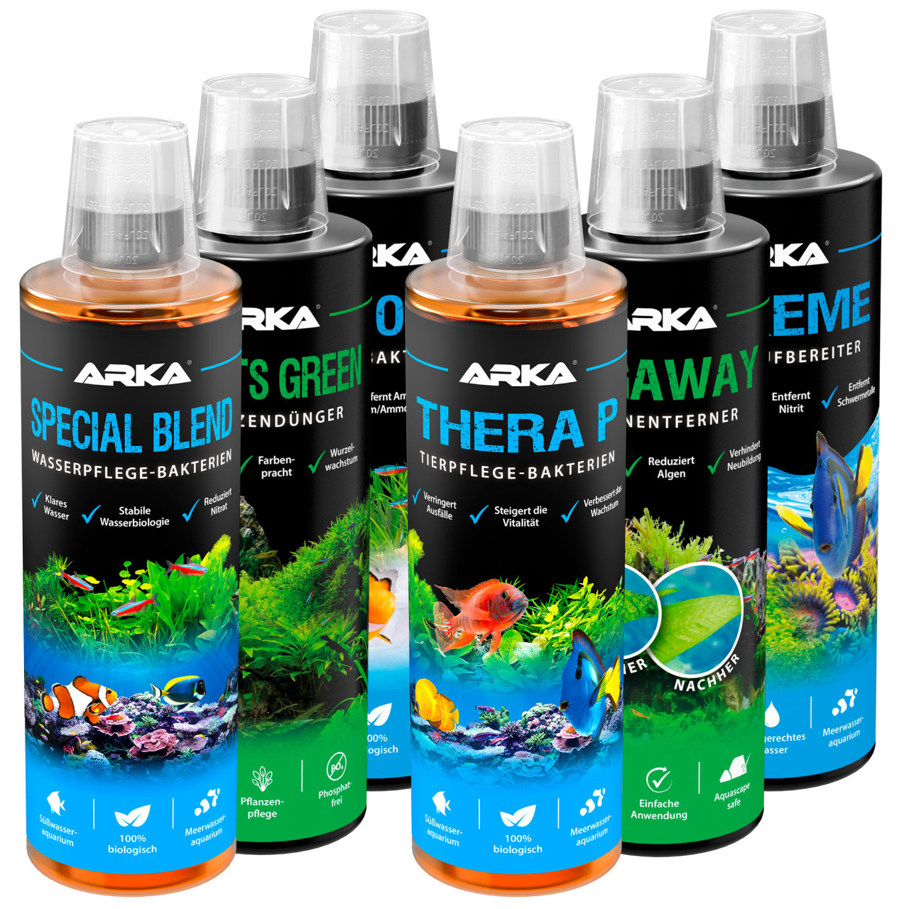 Arka Einsteiger Set 6er