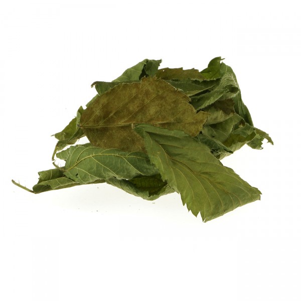 Nano Brombeerblätter