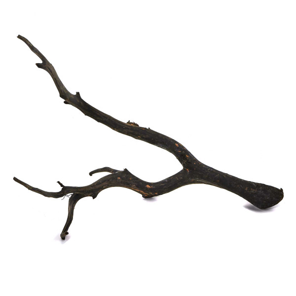 Black Wood Wurzel | Set M Einzelstück