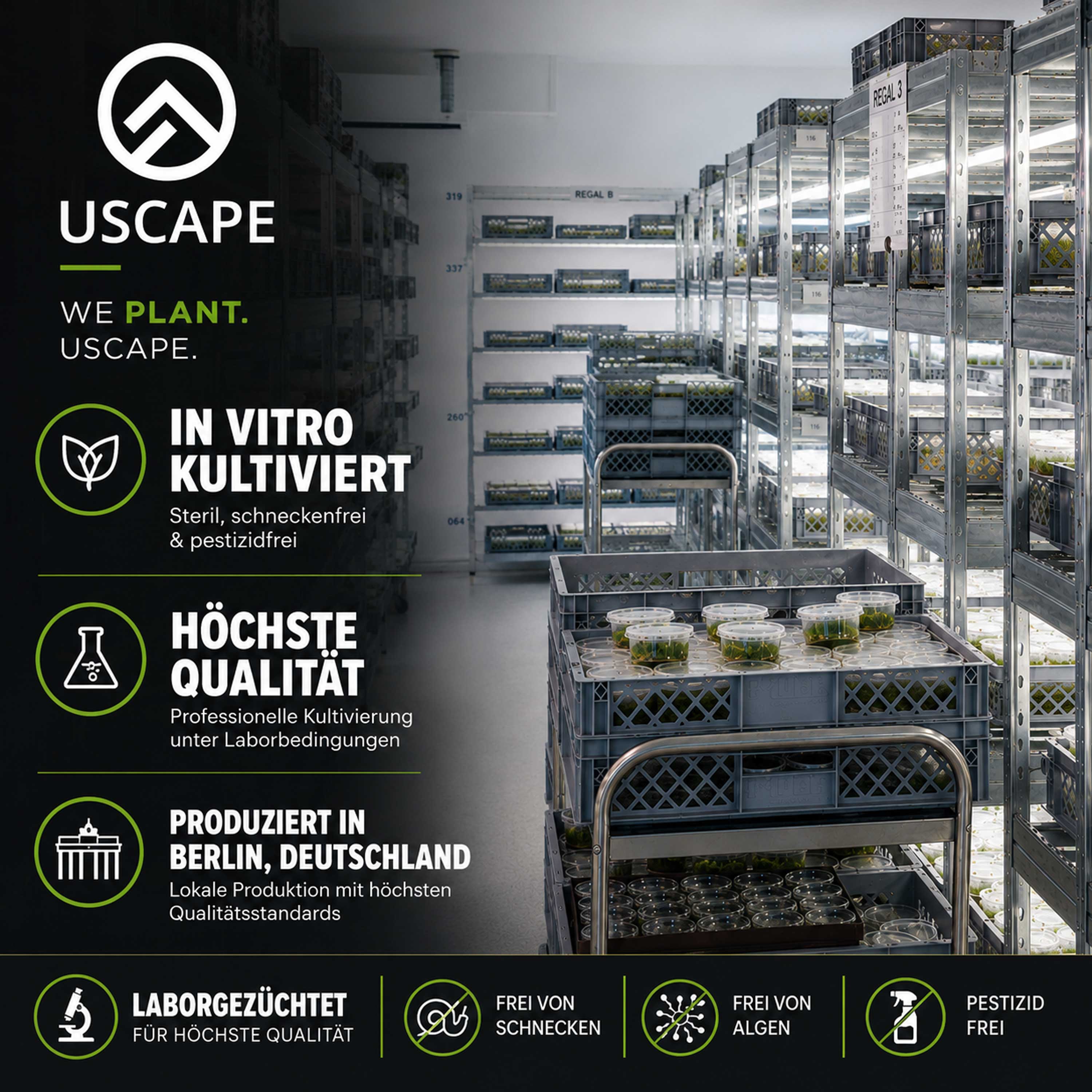 USCAPE Plants In-vitro-Labor für Aquarienpflanzen in Berlin