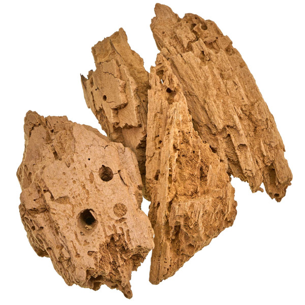 Weißfaules Holz | Bodensubstrat für Asseln, Käfer und andere Insekten