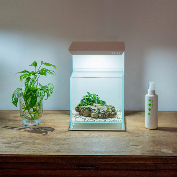 DOOA Magnet Light Stand mit DOOA Magnet Light G, Wabi-Kusa im DOOA Neo Glass Air 20x20