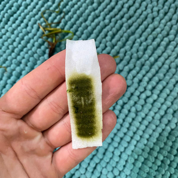 jbl symec micro filtervlies nach dem gebrauch