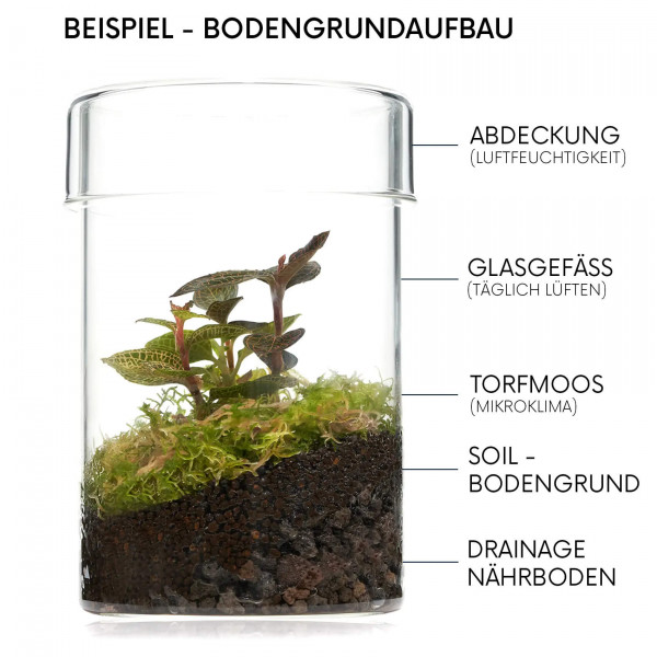 Bodengrundaufbau im Wabi-Kusa und Terrarium