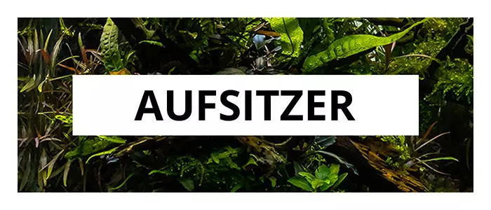 Tfwadmx Aquariumpflanzen 4 Stück | Künstliche Wasserpflanzen Rot | Dekoration Für Aquarium | Ca. 32 Cm Hoch