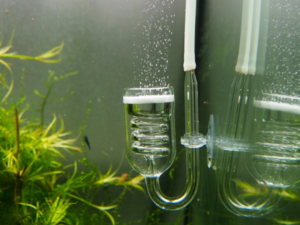 Co2 Diffusor Spirale im Aquarium