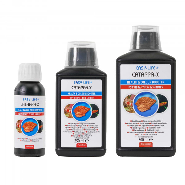 Easy Life | Catappa-X Gruppe