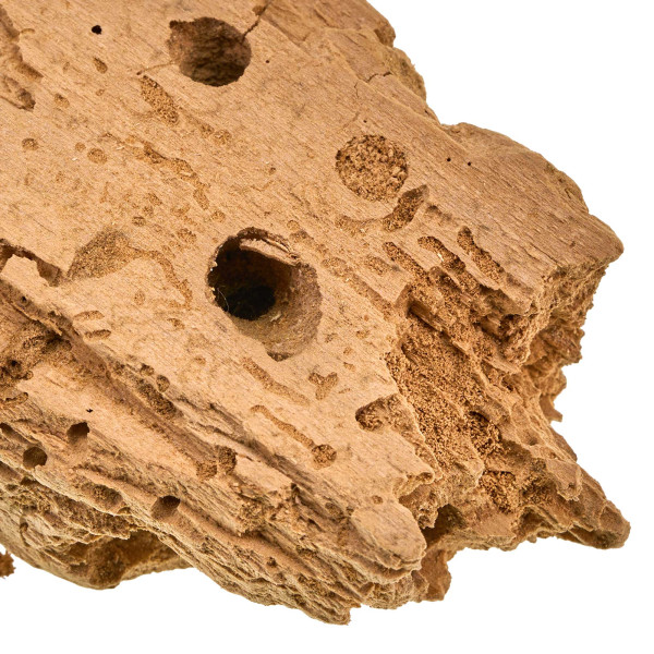 Weißfaules Holz | Bodensubstrat für Asseln, Käfer und andere Insekten