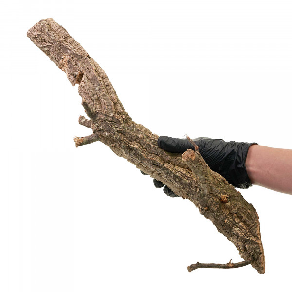 Naturkorkäste für Terrarium| Kork-Tronchos - ca. 60cm Einzeln