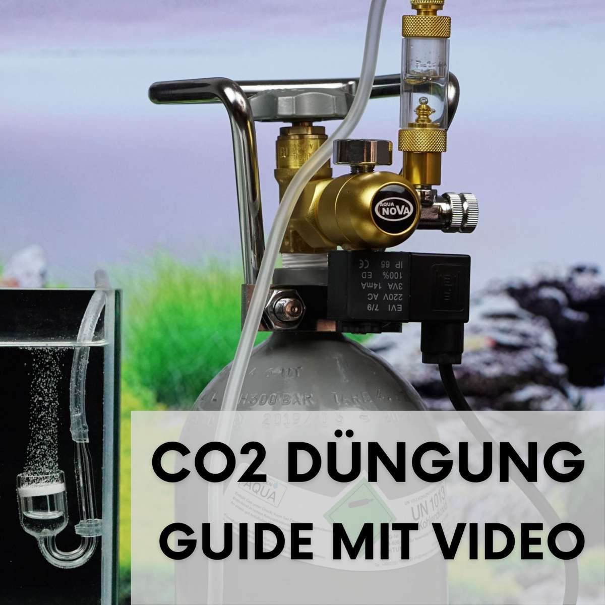 CO2 Düngung Aquarium ᐅ Wir räumen mit den Mythen auf