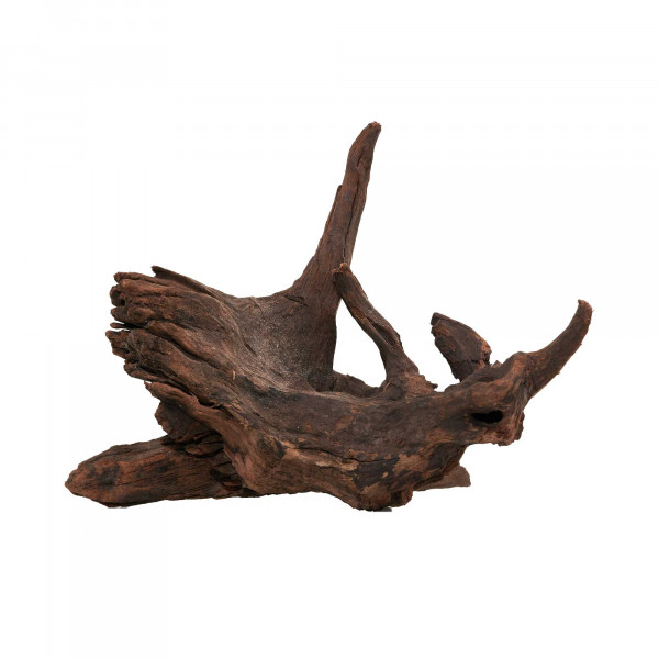 Flusswurzel, Driftwood | Einzelstück Premium 10-25cm