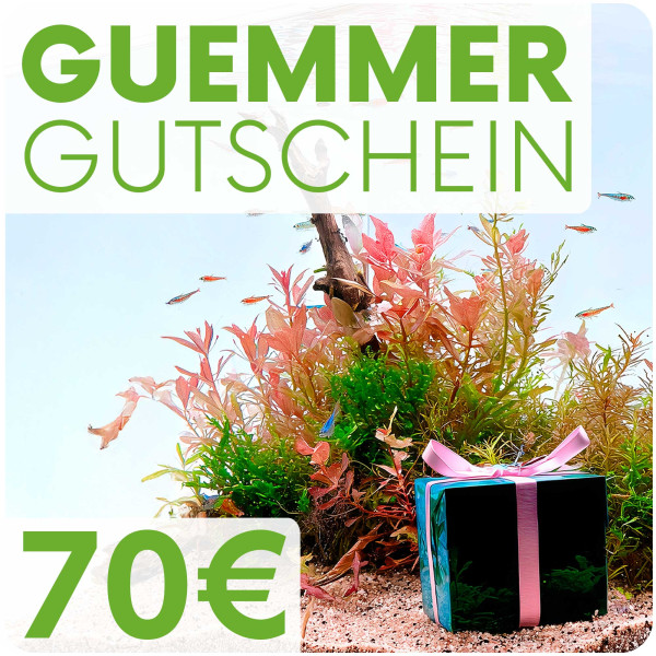 Garnelen-Guemmer Gutschein 70 Euro