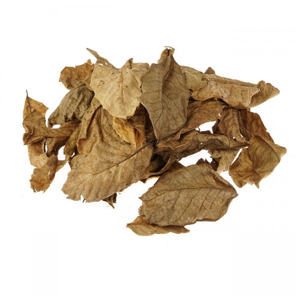 Walnussbaumblätter braun