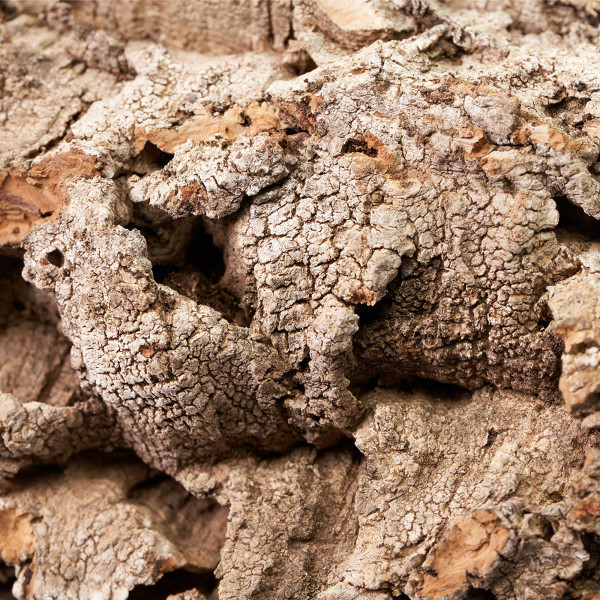 Naturkorkstücke | Korkstücke für Terrarium, Paludarium & Wabi-Kusa - 5 - 20cm