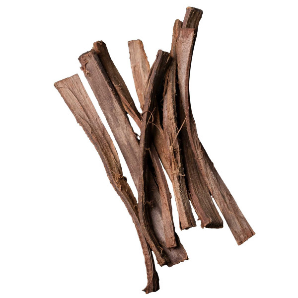 Dennerle Nano Catappa Bark | Seemandelbaumrinde - 8 Stück