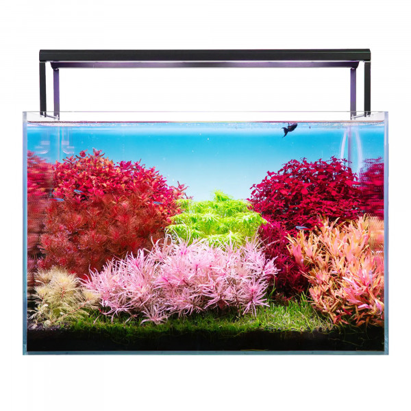 Skylight Hyperbar Aquarium LED Foto auf Aquarium