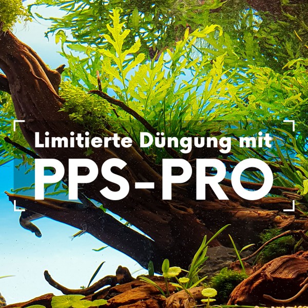 ppsprofeatured