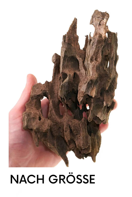Aquarium Wurzeln und Aquascaping Wurzeln kaufen  Wurzel Hardscape