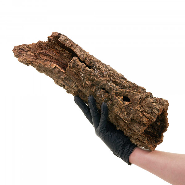 Korkröhren für Terrarium | Natürliche Verstecke und Klettermöglichkeiten Einzelstück